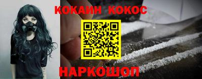 шишки Лесосибирск